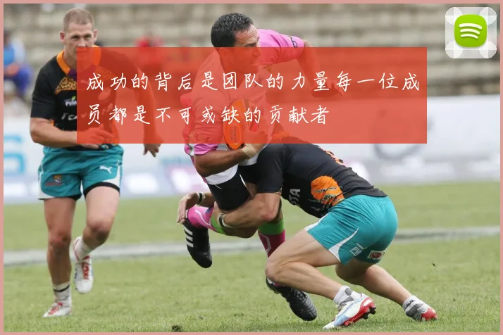 成功的背后是团队的力量每一位成员都是不可或缺的贡献者