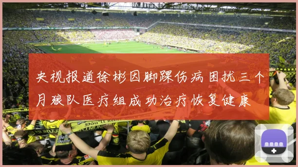 央视报道徐彬因脚踝伤病困扰三个月狼队医疗组成功治疗恢复健康