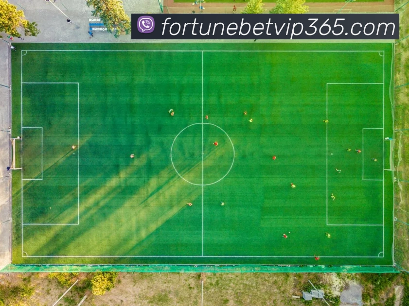 fortune体育全站App