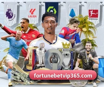 fortune体育 APP